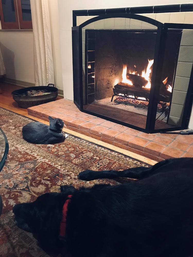 Armand’s Discount Fireplace & BBQ Company in Culver City - FireplaceServiceFinder