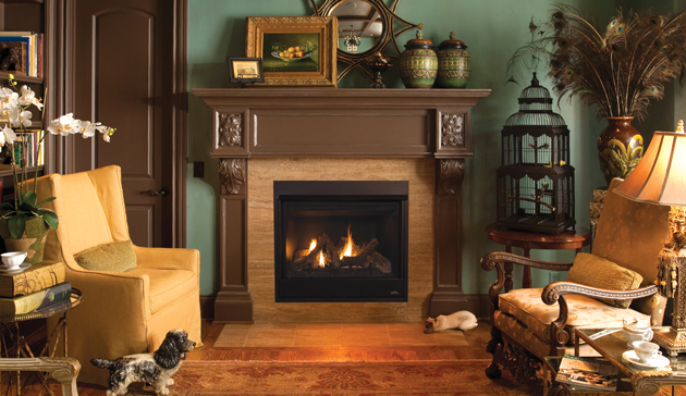 Fireplace & Grill Shoppe in Kalamazoo - FireplaceServiceFinder