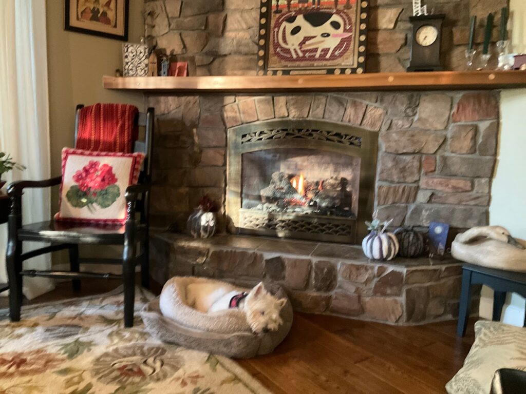 JW Fireplace Sales & Consulting in Howell - FireplaceServiceFinder