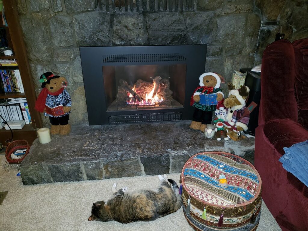 Santa Cruz Fireplace and Hot Tub in Santa Cruz - FireplaceServiceFinder