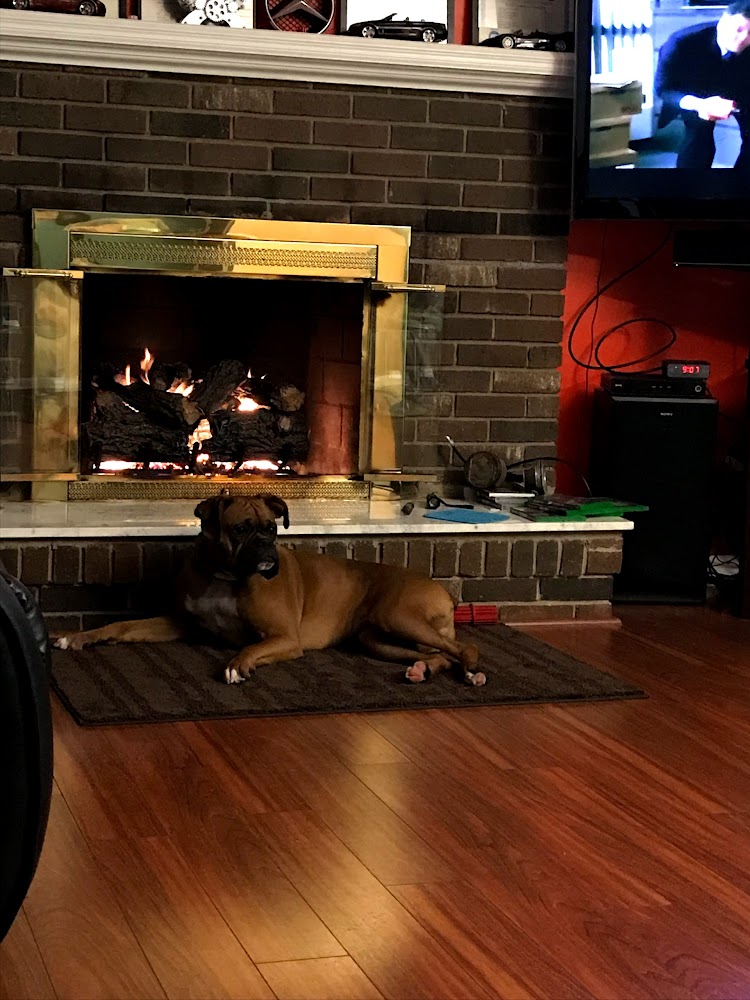Shores Fireplace and BBQ in St Clair Shores - FireplaceServiceFinder